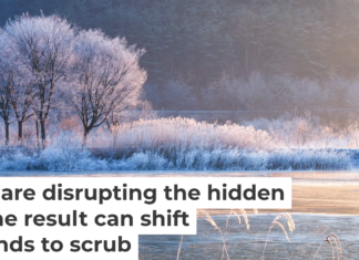 Warmer winters in normally snowy places can interfere with the important activities of microbes in the soil. Seogi/500px via Getty Images